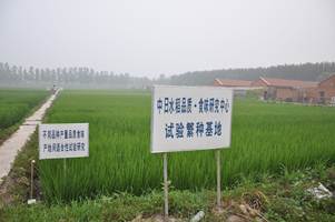 水稻试验繁种基地